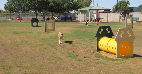 Bark Park at Nozomi Park